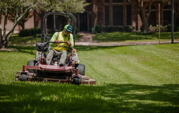 HOA landscaping mowing HOA landscaping mowing