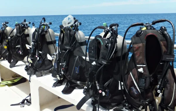 dive-with-right-gear dive-with-right-gear
